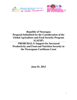 4 Nicaragua Proposal.Pdf