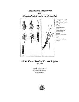 Conservation Assessment for Wiegand's