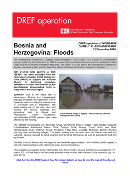 Bosnia and Herzegovina: Floods