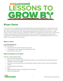 Plant Parts- Roots