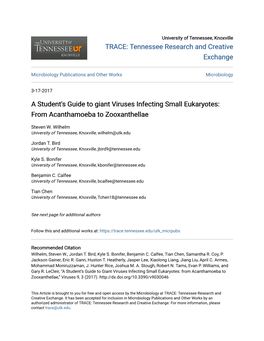 A Student's Guide to Giant Viruses Infecting Small Eukaryotes: from Acanthamoeba to Zooxanthellae