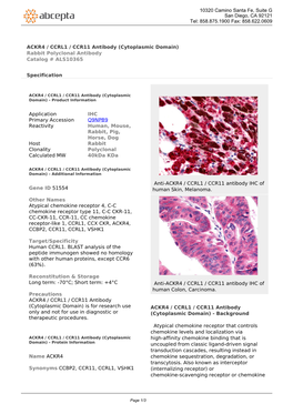 ACKR4 / CCRL1 / CCR11 Antibody (Cytoplasmic Domain) Rabbit Polyclonal Antibody Catalog # ALS10365