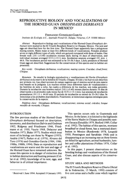 Reproductive Biology and Vocalizations of the Horned Guan Oreophasis Derbianus in Mexico ’