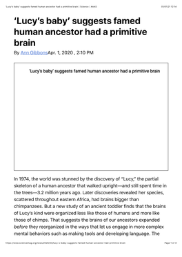 'Lucy's Baby' Suggests Famed Human Ancestor Had a Primitive Brain