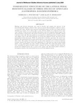 Comparative Structure of the Lateral Pedal Defensive Glands of Three Species of Siphonaria (Gastropoda: Basommatophora)