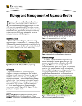 Biology and Management of Japanese Beetle