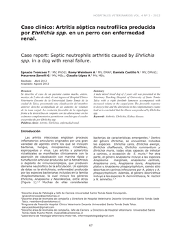 Artritis Séptica Neutrofílica Producida Por Ehrlichia Spp. En Un Perro Con Enfermedad Renal