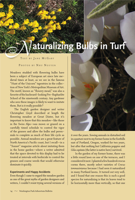 Aturalizing Bulbs in Turf