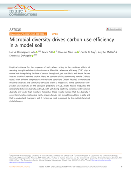 Microbial Diversity Drives Carbon Use Efficiency in a Model Soil