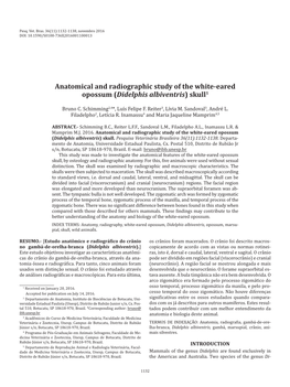 Anatomical and Radiographic Study of the White-Eared Opossum (Didelphis Albiventris) Skull1