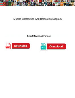 Muscle Contraction and Relaxation Diagram