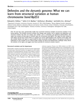 What We Can Learn from Structural Variation at Human Chromosome Band 8P23.1