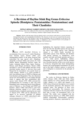 A Revision of Hayline Stink Bug Genus Erthesina Spinola (Hemiptera: Pentatomidae: Pentatominae) and Their Clasdistics