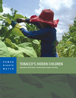 Tobacco's Hidden Children: Hazardous