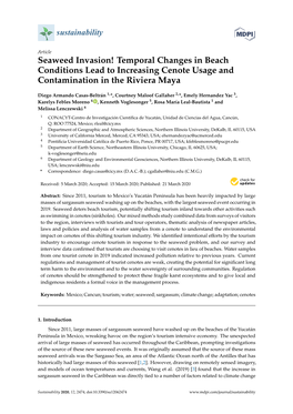 Seaweed Invasion! Temporal Changes in Beach Conditions Lead to Increasing Cenote Usage and Contamination in the Riviera Maya