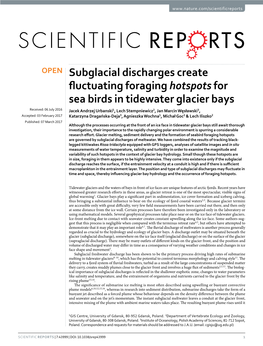 Subglacial Discharges Create Fluctuating Foraging Hotspots for Sea Birds in Tidewater Glacier Bays