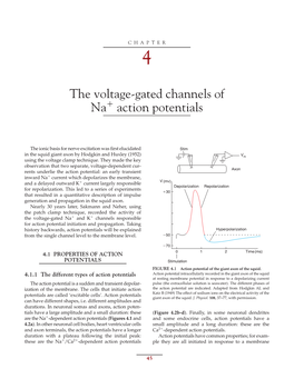 The Voltage-Gated Channels of Na Action Potentials