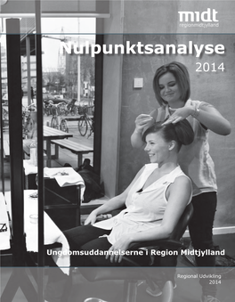 Nulpunktsanalyse 2014