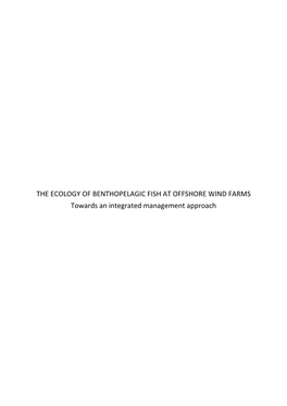 THE ECOLOGY of BENTHOPELAGIC FISH at OFFSHORE WIND FARMS Towards an Integrated Management Approach