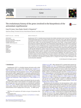 The Evolutionary History of the Genes Involved in the Biosynthesis of the Antioxidant Ergothioneine