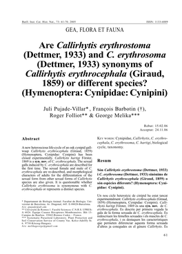 Are Callirhytis Erythrostoma (Dettmer, 1933) and C