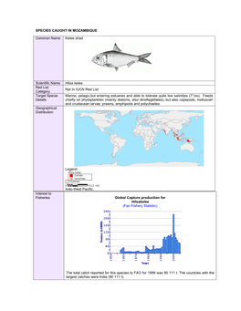 SPECIES CAUGHT in MOZAMBIQUE Interest to Fisheries Global Capture