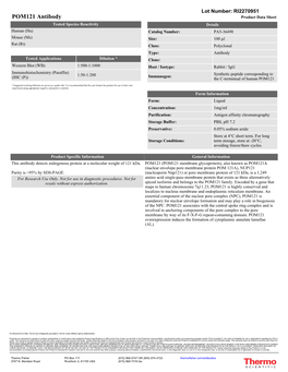 POM121 Antibody Product Data Sheet Tested Species Reactivity Details Human (Hu) Catalog Number: PA5-36498 Mouse (Ms) Size: 100 Μl Rat (Rt) Class: Polyclonal