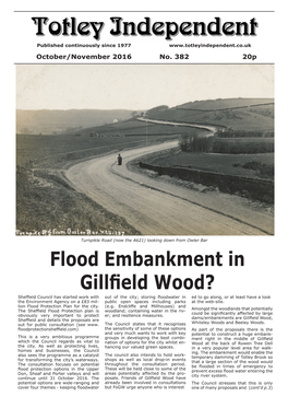 Flood Embankment in Gillfield Wood?