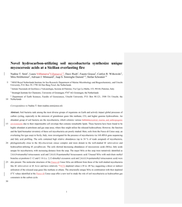 Novel Hydrocarbon-Utilizing Soil Mycobacteria Synthesize Unique Mycocerosic Acids at a Sicilian Everlasting Fire