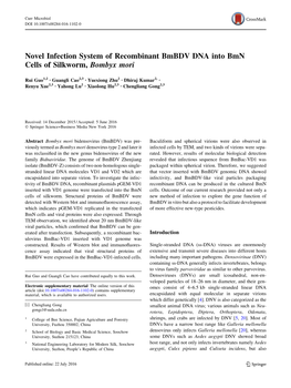 Novel Infection System of Recombinant Bmbdv DNA Into Bmn Cells of Silkworm, Bombyx Mori