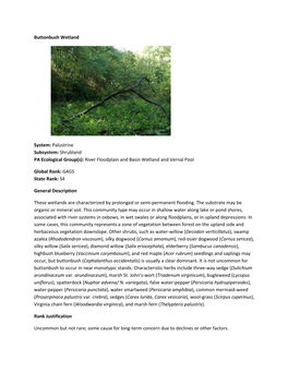 Buttonbush Wetland System: Palustrine Subsystem: Shrubland