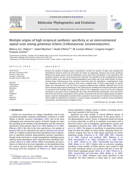 Molecular Phylogenetics and Evolution 56 (2010) 1089–1095