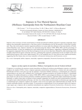 Imposex in Two Muricid Species (Mollusca: Gastropoda) from the Northeastern Brazilian Coast