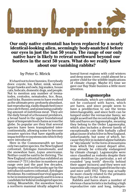 Lagomorphs Our Only Native Cottontail Has Been Replaced by a Nearly Identical-Looking Alien, Seemingly Body-Snatched Before