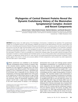 Phylogenies of Central Element Proteins Reveal the Dynamic Evolutionary History of the Mammalian Synaptonemal Complex: Ancient and Recent Components