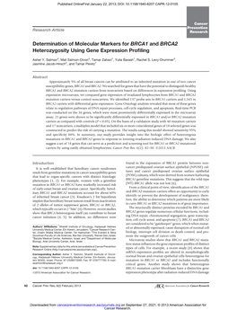 Determination of Molecular Markers for BRCA1 and BRCA2 Heterozygosity Using Gene Expression Proﬁling