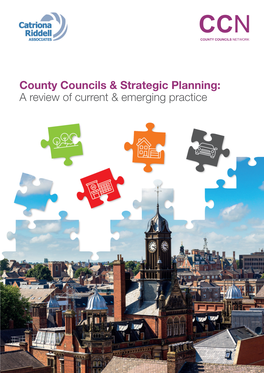 County Councils & Strategic Planning