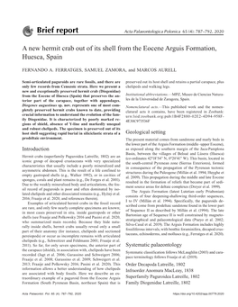 A New Hermit Crab out of Its Shell from the Eocene Arguis Formation, Huesca, Spain