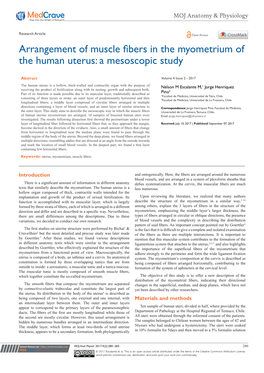 Arrangement of Muscle Fibers in the Myometrium of the Human Uterus: a Mesoscopic Study