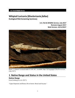 Rineloricaria Fallax) Ecological Risk Screening Summary