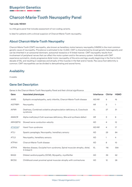 Blueprint Genetics Charcot-Marie-Tooth Neuropathy