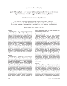 Spectrolebias Pilleti, a New Annual Killifish (Cyprinodontiformes: Rivulidae: Cynolebiatinae) from the Upper Río Mamoré Basin, Bolivia