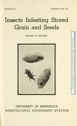 Insects Infesting Stored Grain and Seeds