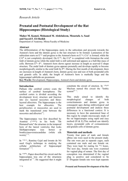 Prenatal and Postnatal Development of the Rat Hippocampus (Histological Study)