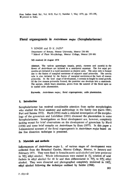 Floral Organogenesis in Antirrhinum Majus (Scrophulariaceae)