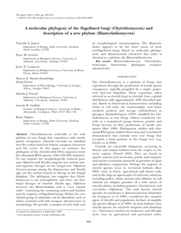 A Molecular Phylogeny of the Flagellated Fungi (Chytridiomycota) and Description of a New Phylum (Blastocladiomycota)