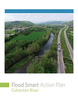 Cohocton River Flood Smart Action Plan