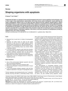 Shaping Organisms with Apoptosis