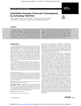 Endothelin Promotes Colorectal Tumorigenesis by Activating YAP/TAZ