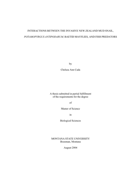 INTERACTIONS BETWEEN the INVASIVE NEW ZEALAND MUD SNAIL, POTAMOPYRGUS ANTIPODARUM, BAETID MAYFLIES, and FISH PREDATORS by Chelse